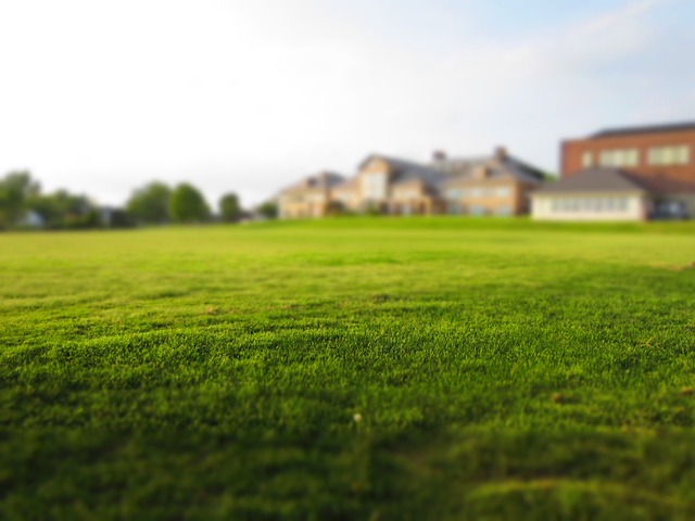 Sådan får du en miljøvenlig græsplæne uden brug af kemikalier