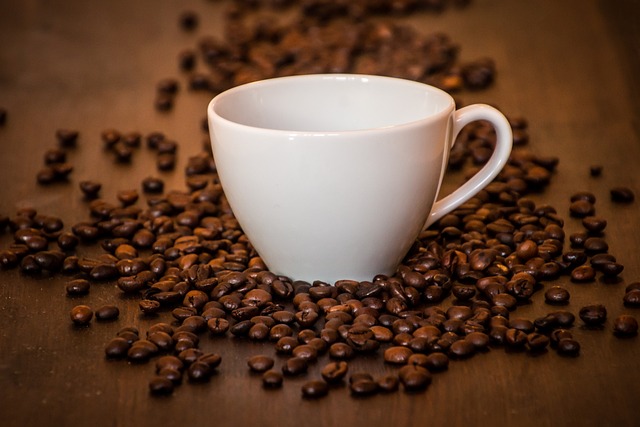 Hay's Kaffekrus: En Perfekt Kombination af Funktionalitet og Design