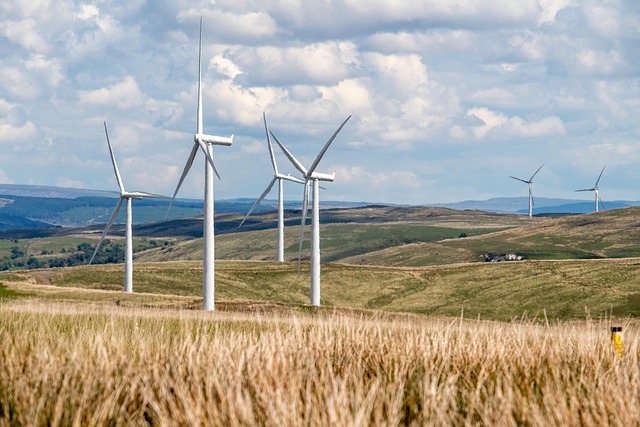 Grøn omstilling med bundlinjegevinst: Energitiltag der hurtigt tjener sig hjem